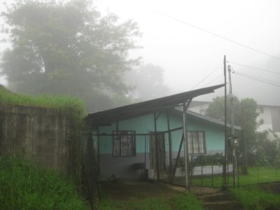 Misty Morning in the Cloud Forest
