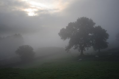 g5/88/654388/3/119127183.kMTKOo2l.jpg