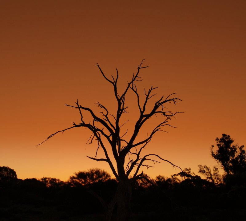 Dusk near Mullewa