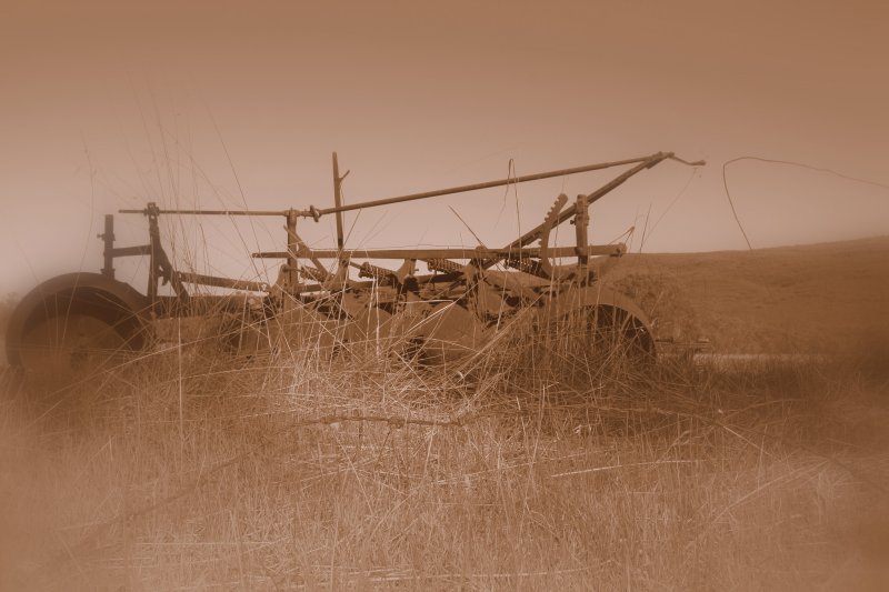 Ploughing up the past