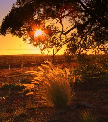 Sunset near Mullewa