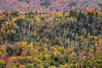 Autumn New Hampshire
