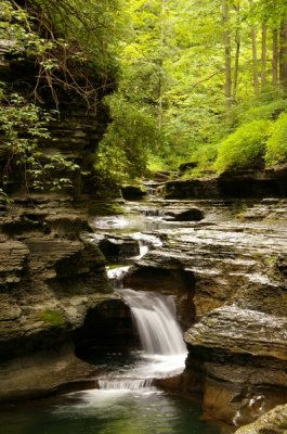 NY Waterfalls 009.jpg