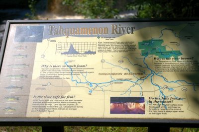 Tahquamenon River and Falls 1.JPG