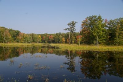Fall 2008