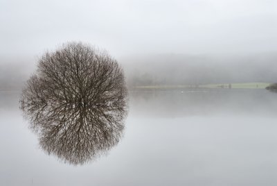 misty reflections.jpg