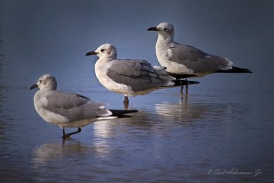 Just Three