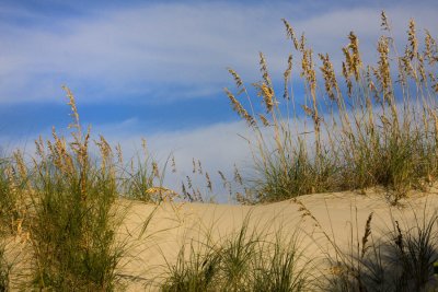 Tybee Island Sand Dunes