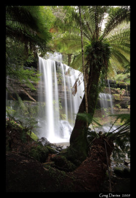 Russell Falls from fern cover