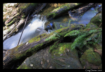 Below Lady Barron Falls