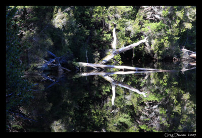 Reflections