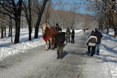 DSC_0342.JPG