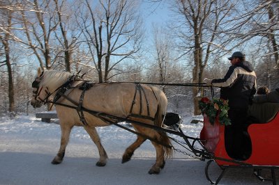 DSC_0393.JPG