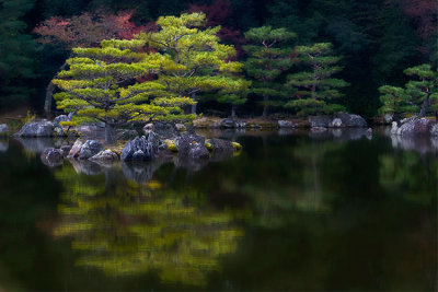 _PGK9309m.JPG