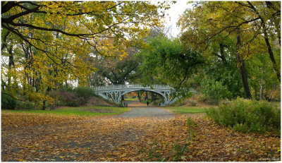 Autumn At Gothic Bridge