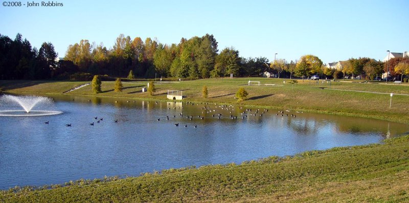 Bowie Town Center Pond