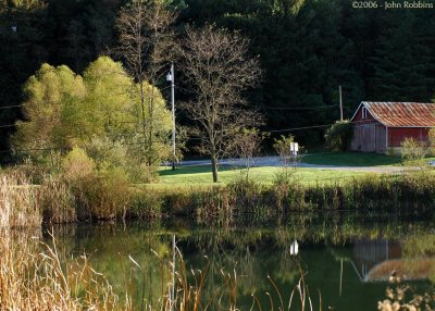 Farm Pond