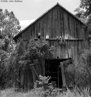 Shed Monochrome