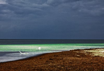 g5/89/316389/3/104546032.AkOXfyBc.jpg
