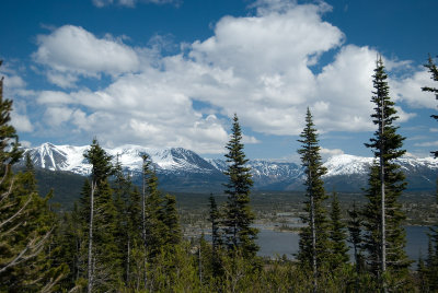 2008061241.jpg