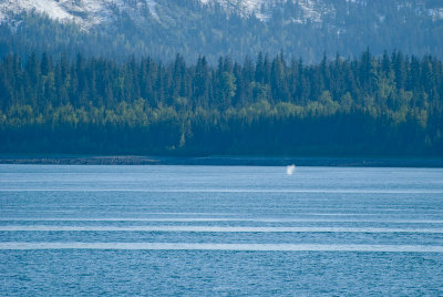 20080617262.jpg