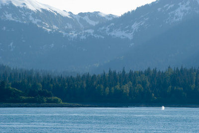 20080617269.jpg