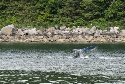 20080619051.jpg
