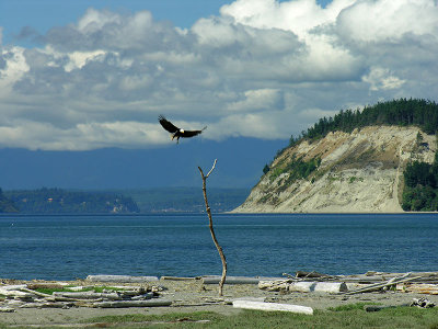 Useless Bay Watch Post