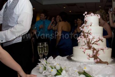 IMG_8016.jpg
