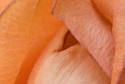 IMG_0478.jpg