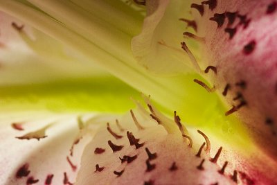 IMG_0547.jpg
