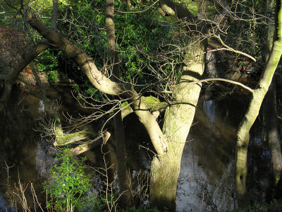 Water of Leith