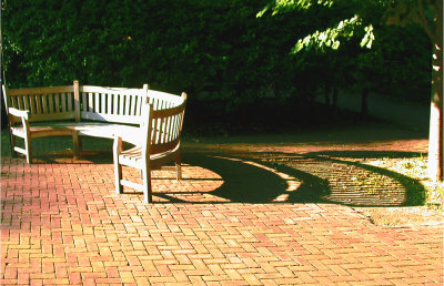 shadow bench.jpg