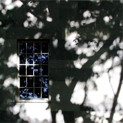 Morning shadows