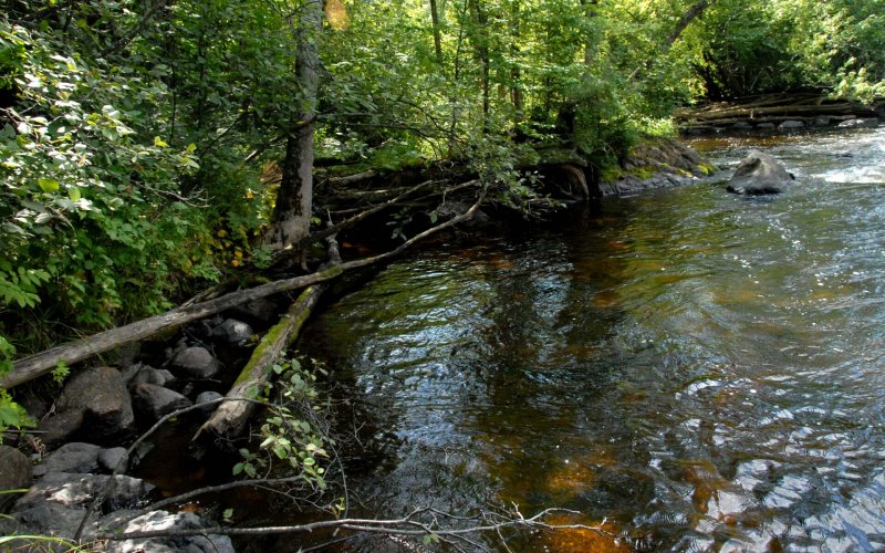 trout water 5, Peshtigo River