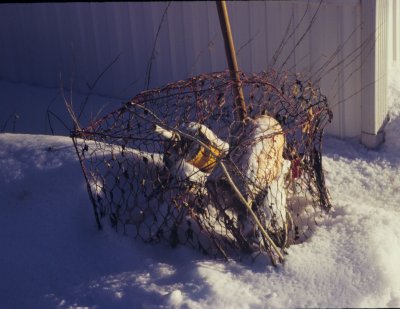 crab pot and bouys
