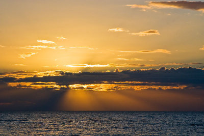 Rays