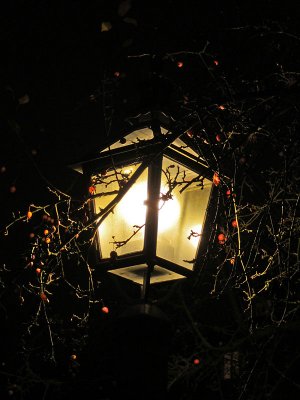 The grown over lantern