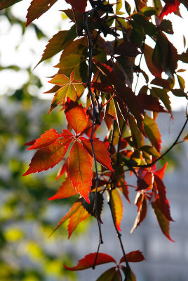 October 2: Autumn closing in