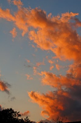 Wispy Clouds