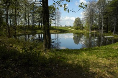 Irrigation Pond