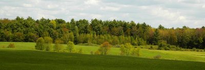 Davis Field 1