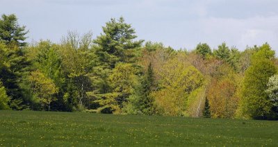 Davis Field 5