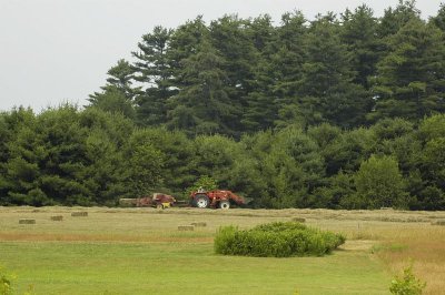 Hay Day