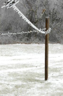 Clothesline