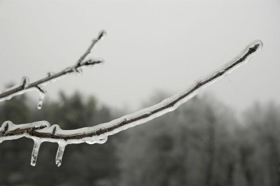 Icy Branch 1