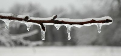 Icy Branch 2
