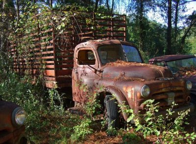 Old Vehicles south of Tallahassee, FL