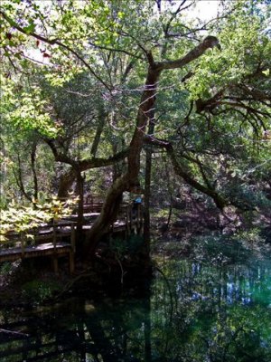 Boardwalk surrounds this large pool