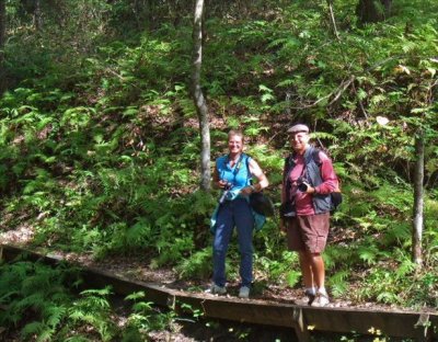 Bob and Marie on a path blanketed with ferns